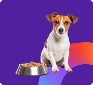 Pet Supplies